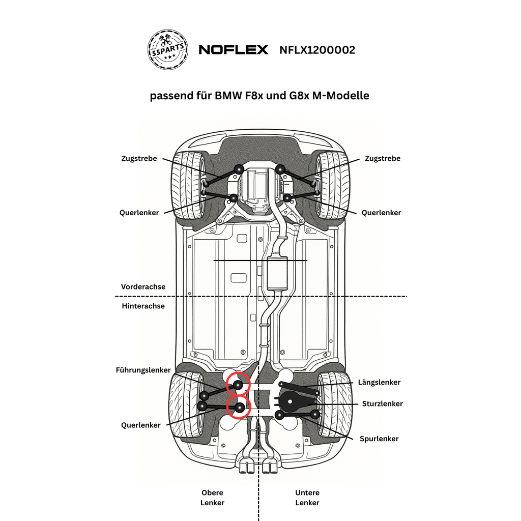 NoFlex Bearings: schematische Darstellung der Einbauposition – BMW F8x/G8x oberer Querlenker Hinterachse.